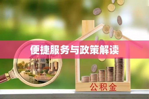 泸水便捷服务与政策解读