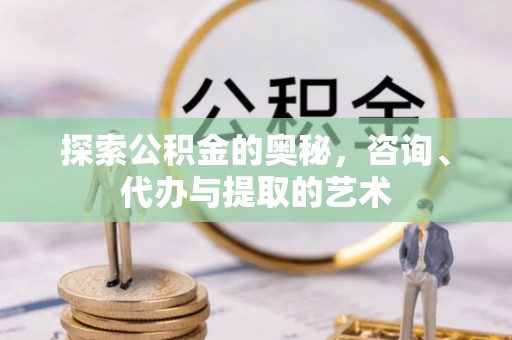 泸水探索公积金的奥秘，咨询、代办与提取的艺术