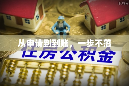 泸水从申请到到账，一步不落