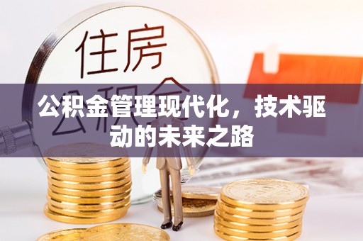 泸水公积金管理现代化，技术驱动的未来之路